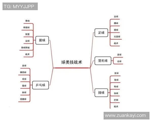 北京排球队进攻策略全解析深度剖析排球战术与团队配合